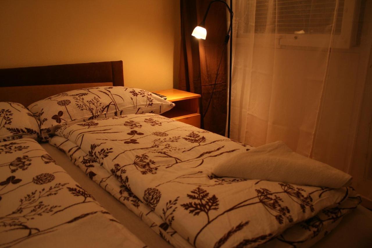 בודפשט Victor Hugo Central Apartment מראה חיצוני תמונה